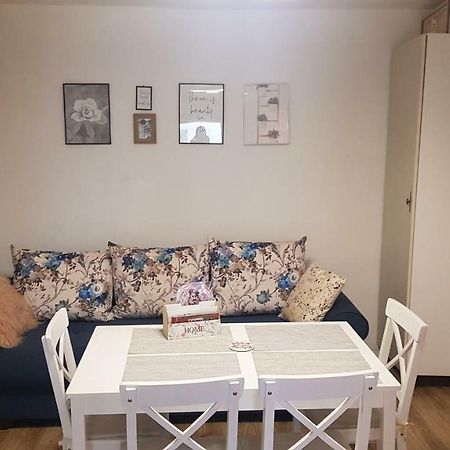 Glam Rose&White Downtown Apartment Sibiu Bagian luar foto